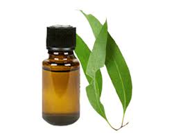 Clove Leaf Essential Oil